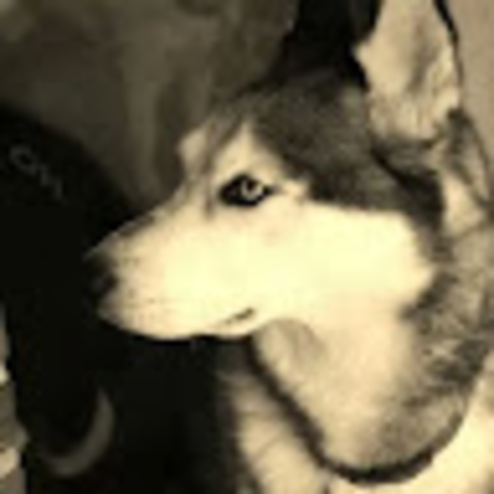 Meet your Posher, Kimmi
